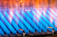 Backbower gas fired boilers